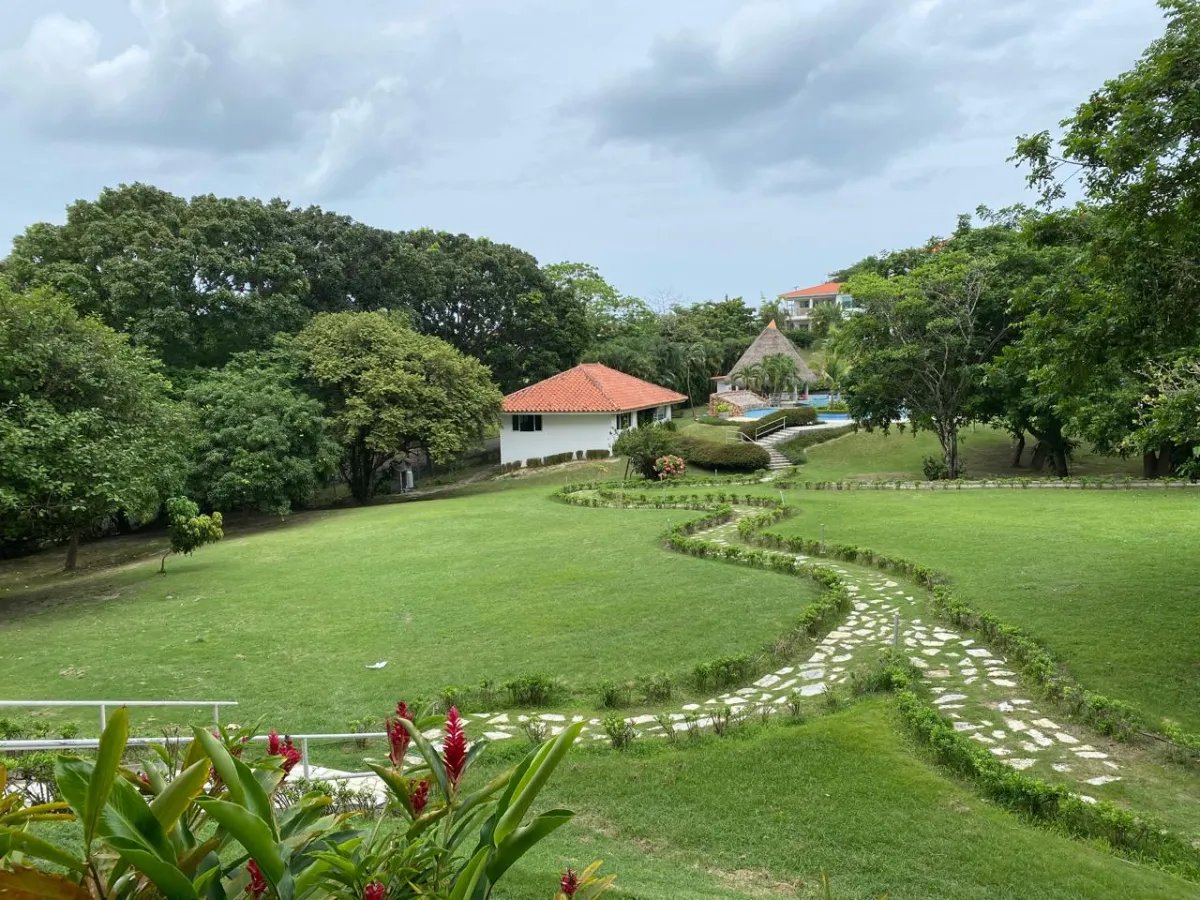 SE VENDE LOTE DE TERRENO EN PEDREGAL