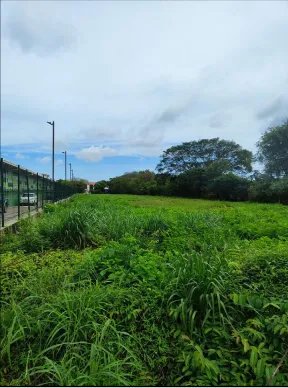 VENTA DE TERRENO EN HERRERA, CHITRE AREA COMERCIAL