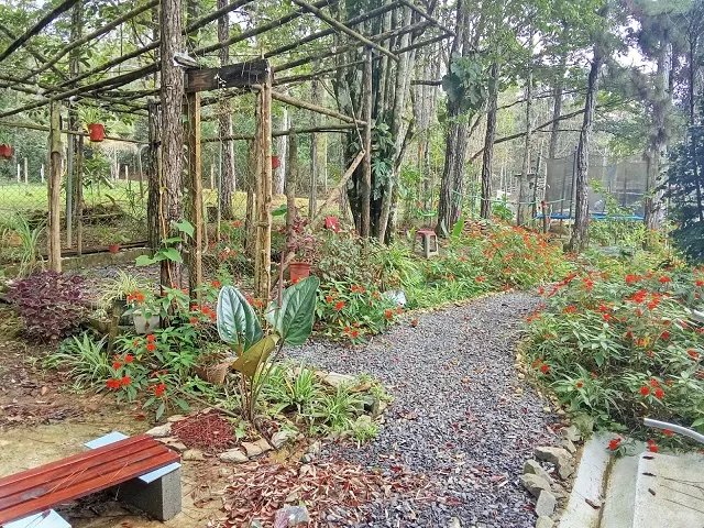 Casa en Venta en Altos de Cerro Azul