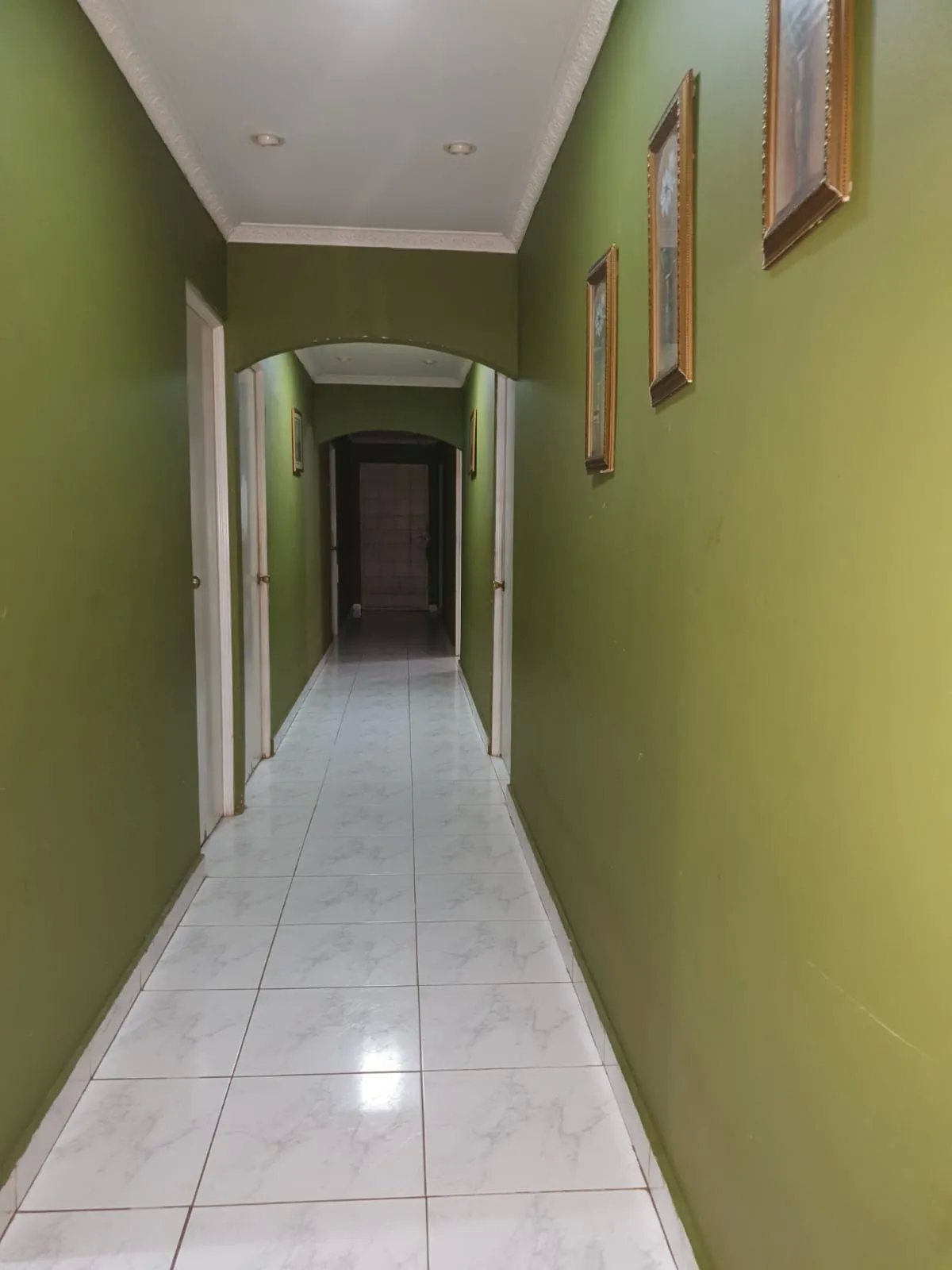 VENDO PROPIEDAD COMERCIAL EL COCO LA CHORRERA