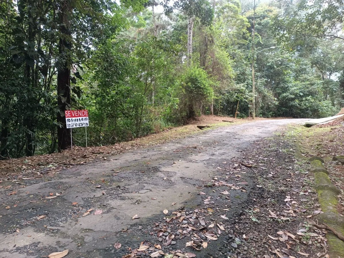 Se Vende Lote en Vía Principal a Cerro Azul/Lot for Sale on Main Road ...