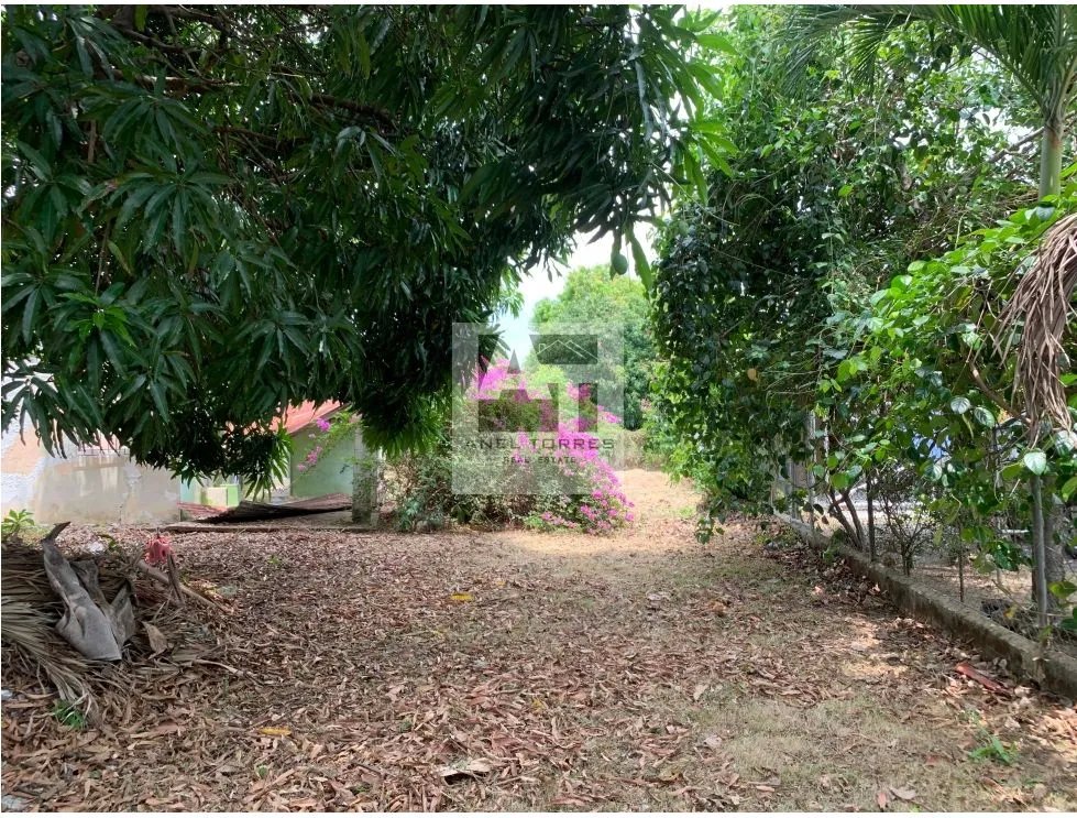 Se Vende Terreno en Victoriano Lorenzo Bejuco.
