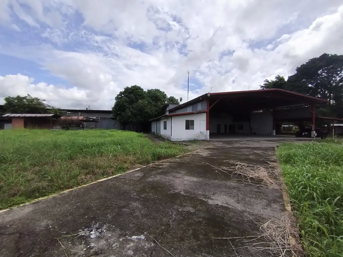 Galera en Venta en Panamá | David, Chiriquí Propiedad Industrial de 1 ...