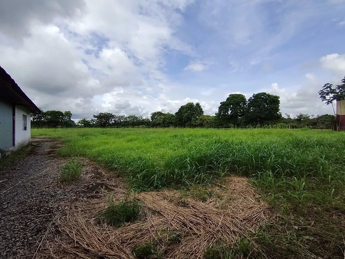 Galera en Venta en Panamá | David, Chiriquí Propiedad Industrial de 1 Hectárea