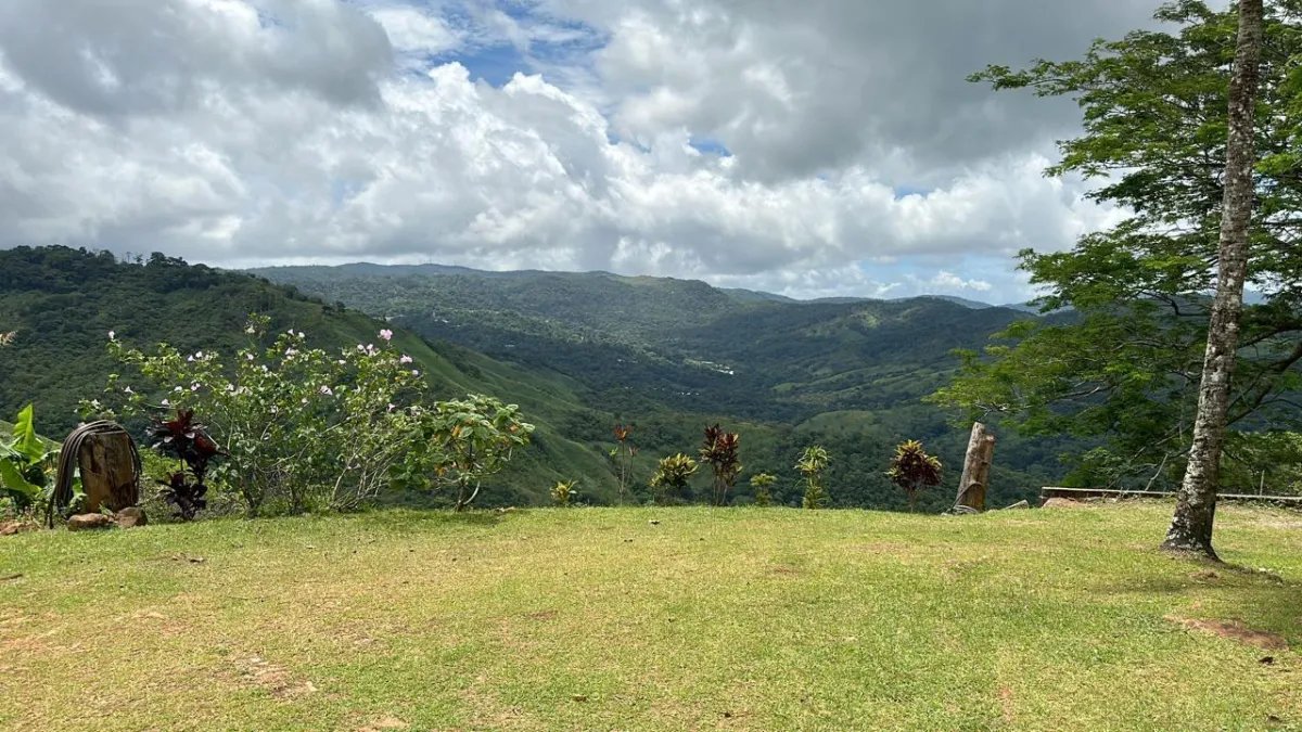 71 hectáreas de terreno de montaña con río | Cerro Azul | $1/m²