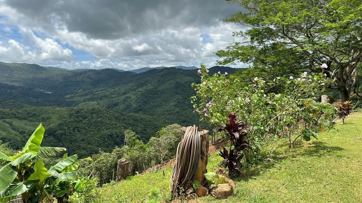 71 hectáreas de terreno de montaña con río | Cerro Azul | $1/m²