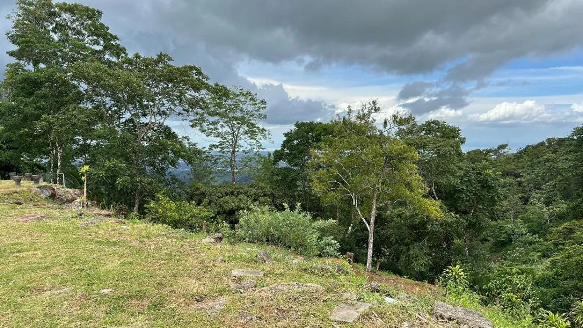 71 hectáreas de terreno de montaña con río | Cerro Azul | $1/m²