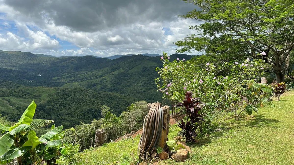 71 hectáreas de terreno de montaña con río | Cerro Azul | $1/m²