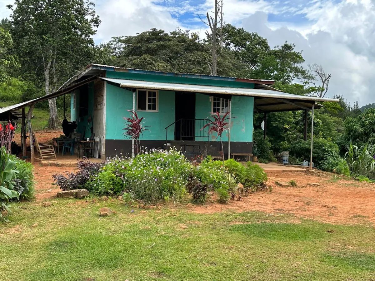 71 hectáreas de terreno de montaña con río | Cerro Azul | $1/m²