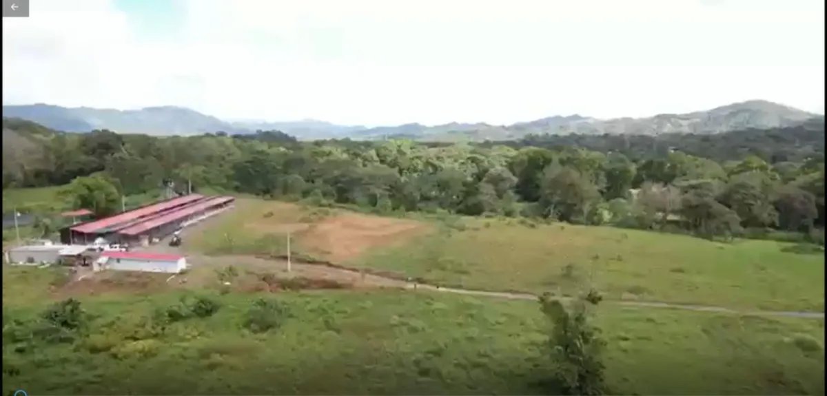 ¡Gran Oportunidad de Inversión! Vendo Finca de 50 Hectáreas en Buena V...