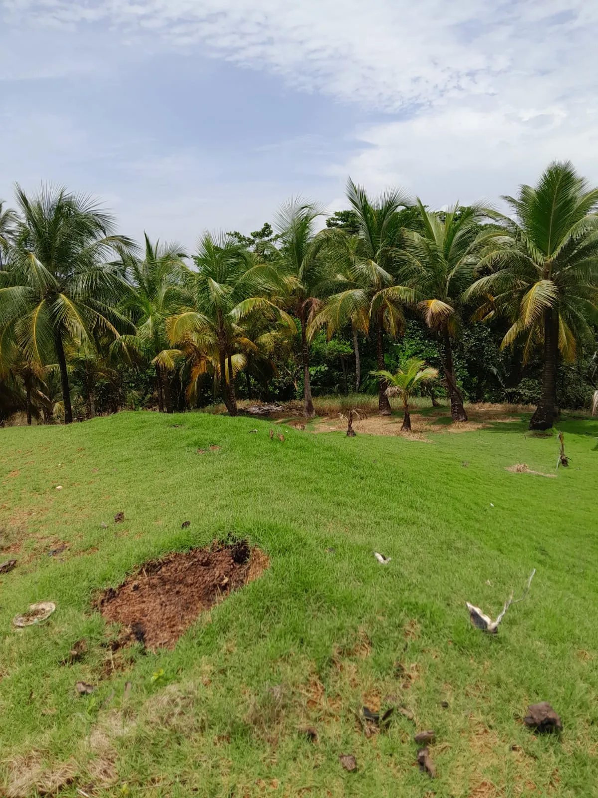Paraiso Caribeño en Cuango  Terreno Titulado Frente a la Playa.