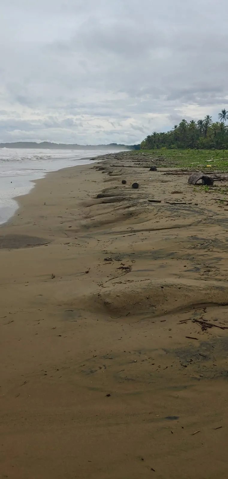 Paraiso Caribeño en Cuango  Terreno Titulado Frente a la Playa.