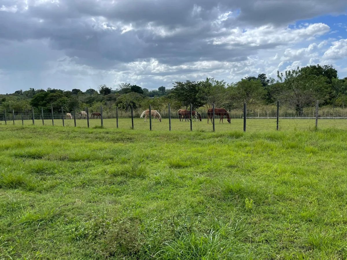 Finca Productiva y Ecuestre Totalmente Operativa cerca de Buenaventura