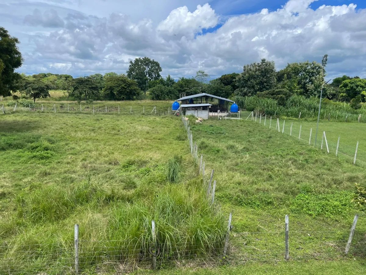 Finca Productiva y Ecuestre Totalmente Operativa cerca de Buenaventura
