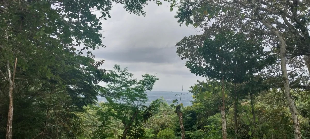 Terreno Ideal para Desarrollo en Altos de Tocumen con Vista Panorámica a la Ciudad