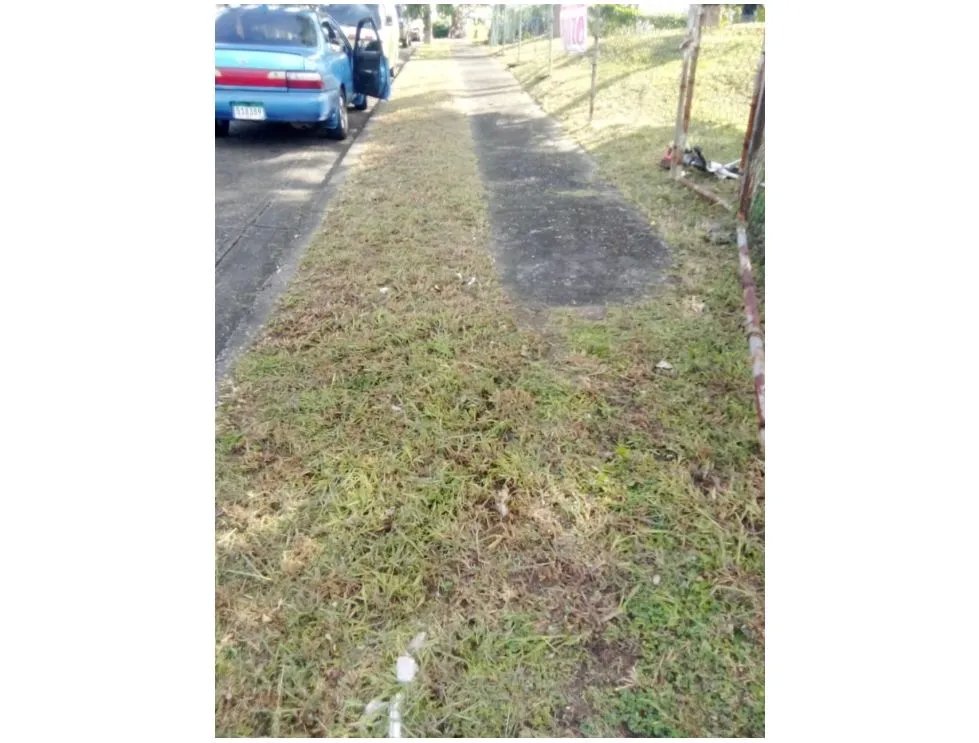 Lotes de Terreno en venta  Residencial El Bosque, San Miguelito