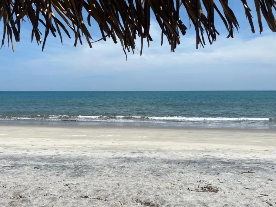 Venta de Terreno de Playa en Rio Hato 8,790 m2