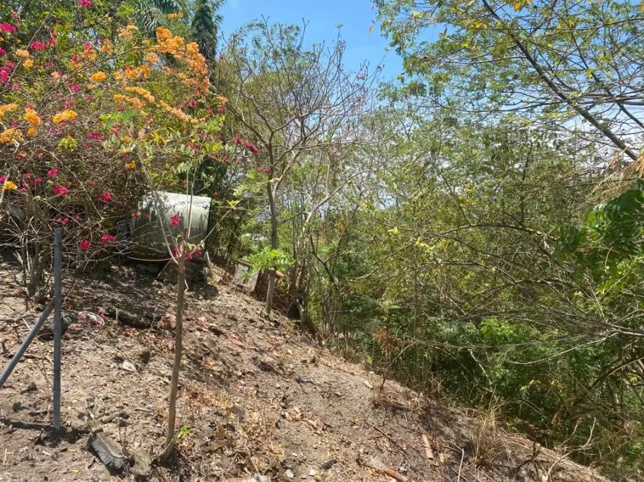 Venta de Terreno de Playa en Rio Hato 8,790 m2