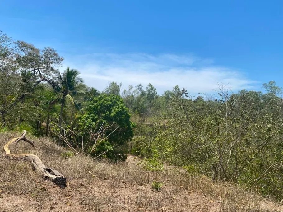 Venta de Terreno de Playa en Rio Hato 8,790 m2