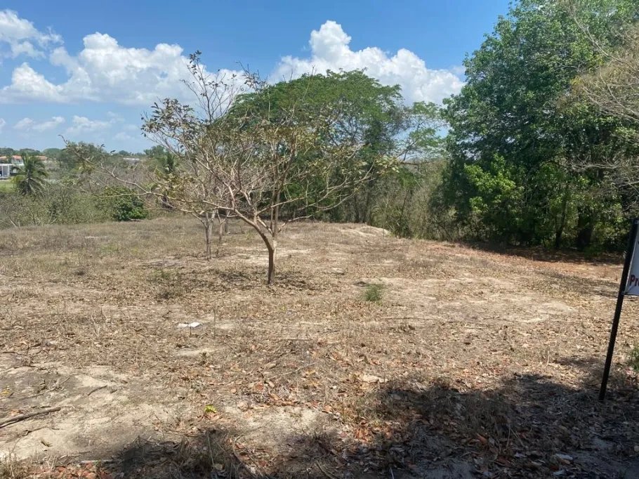 Venta de Terreno de Playa en Rio Hato 8,790 m2