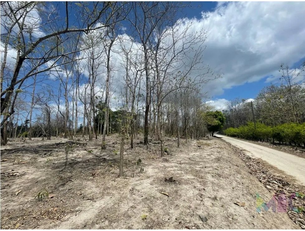 Se Vende Terreno en San Carlos Mata Palo