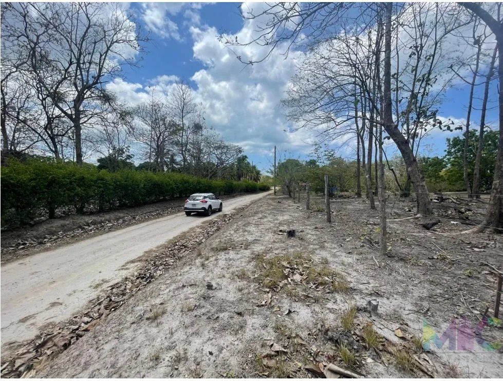 Se Vende Terreno en San Carlos Mata Palo