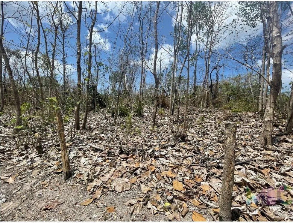 Se Vende Terreno en San Carlos Mata Palo