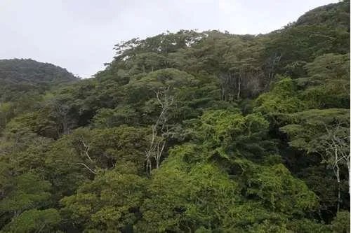 Terreno en venta en Altos del María