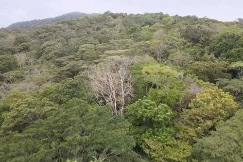 Terreno en venta en Altos del María