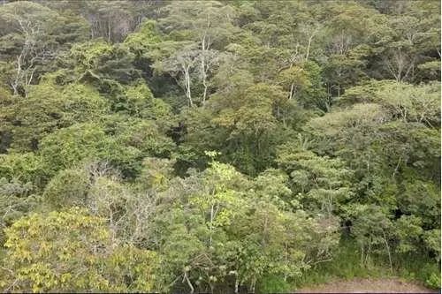 Terreno en venta en Altos del María
