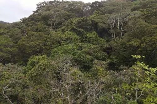 Terreno en venta en Altos del María