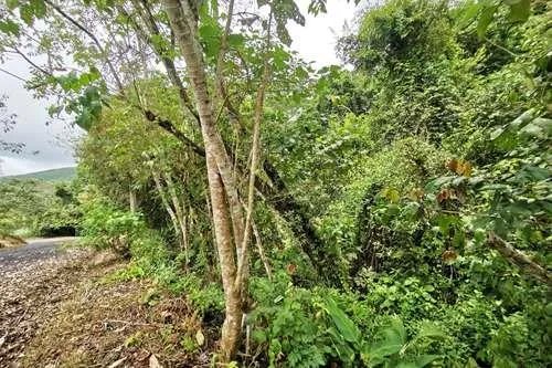 Terreno en venta en Altos del María