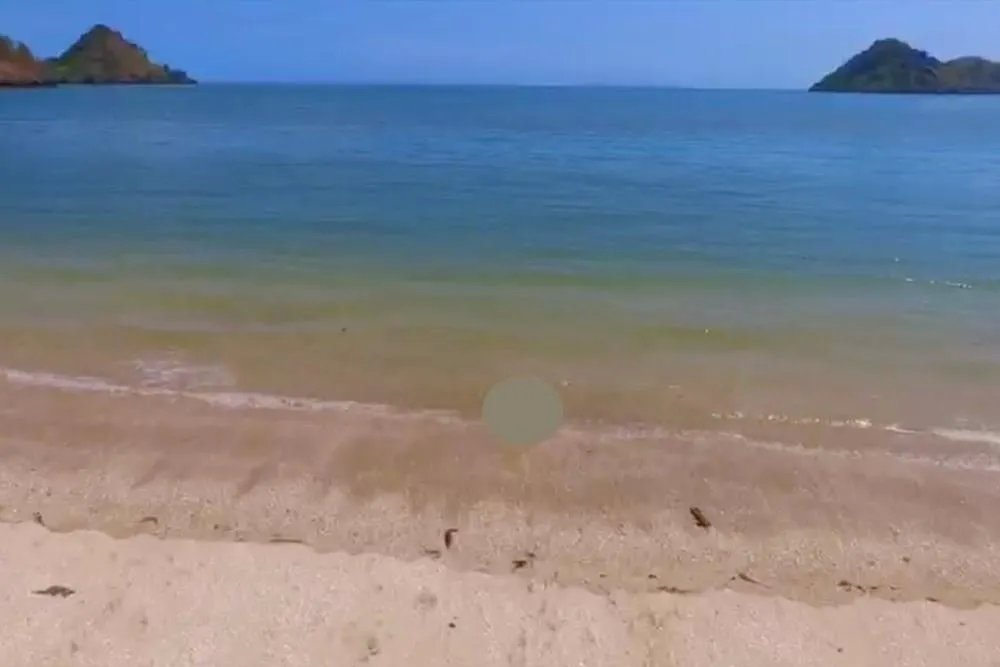 Lote de Playa en Venta en Cermeño de Capira