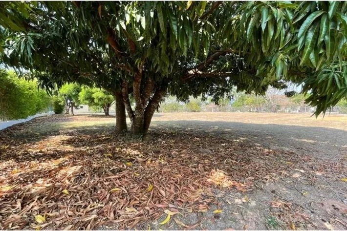 Lands for sale at Club de Golf, Coronado, Chame