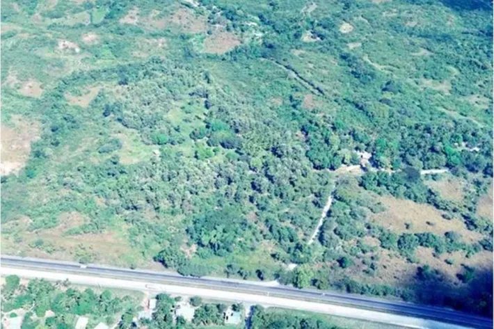 Venta de Finca en El Higo de San Carlos