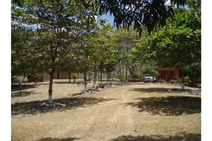 Venta de Finca en El Higo de San Carlos