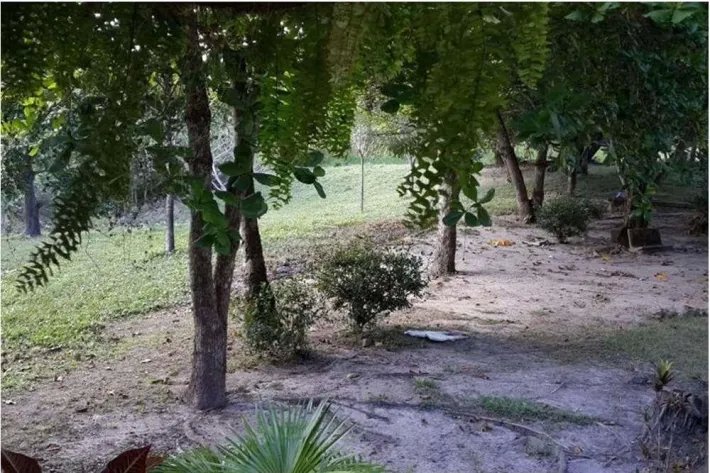 Venta de Finca en El Higo de San Carlos