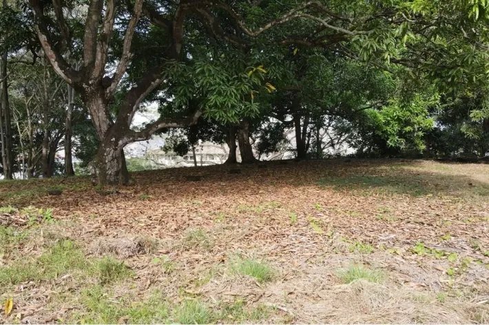 Land for sale in Albrook, Ancon