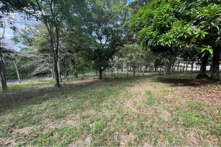 Land for sale in Albrook, Ancon
