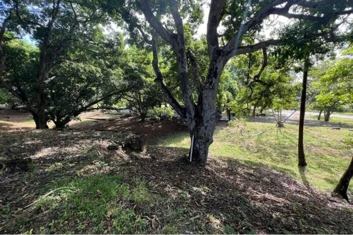 Land for sale in Albrook, Ancon
