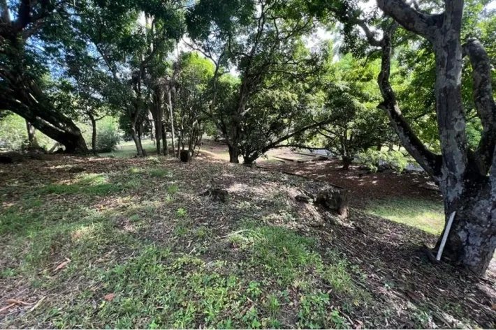 Land for sale in Albrook, Ancon
