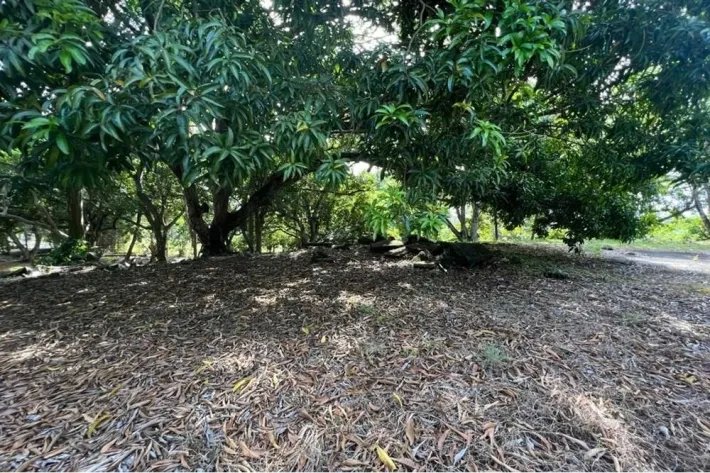 Land for sale in Albrook, Ancon