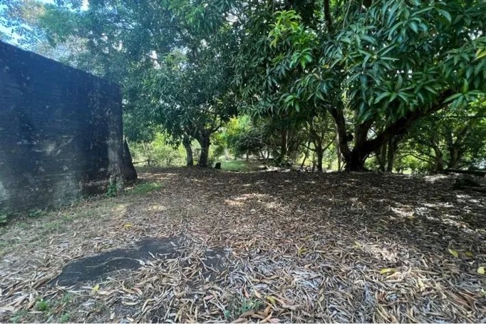 Land for sale in Albrook, Ancon
