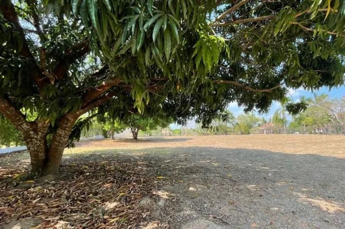 Se vende lote de terreno en Club de Golf, Coronado, Chame