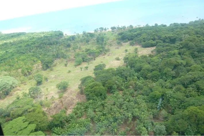 Hectares for sale in Santa Isabel, Colón