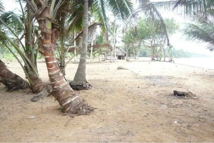 Hectares for sale in Santa Isabel, Colón