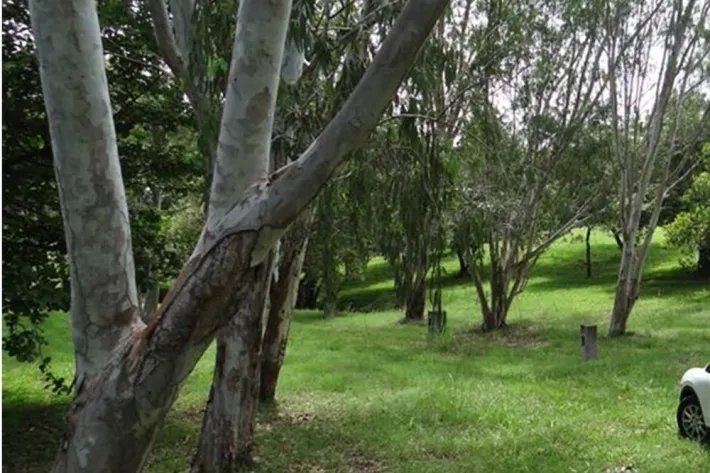 Farm for Sale in Las Lagartijas, San Carlos