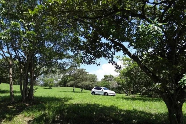 Farm for Sale in Las Lagartijas, San Carlos