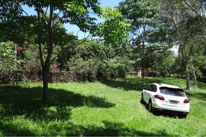 Farm for Sale in Las Lagartijas, San Carlos