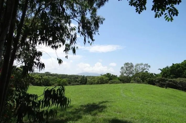 Farm for Sale in Las Lagartijas, San Carlos